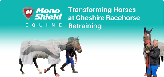 Peanut's Transformation on MonoShield Equine